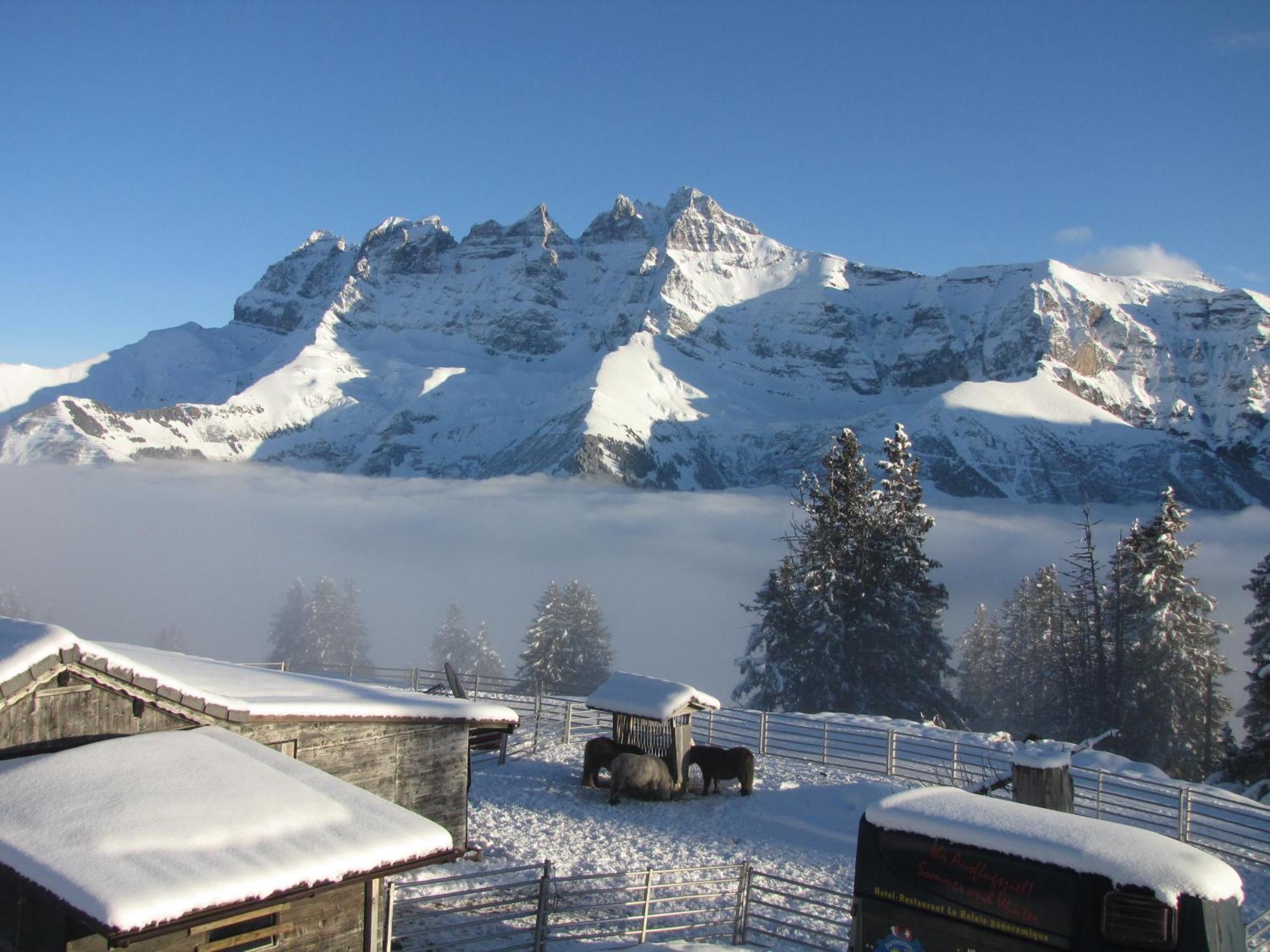 Hotel-Restaurant Le Relais Panoramique Les Crosets Exteriér fotografie